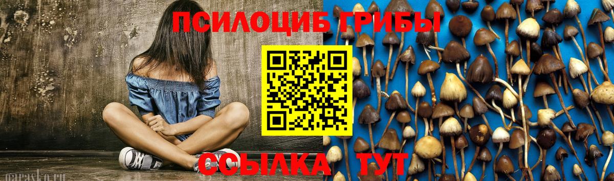 Псилоцибиновые грибы MAGIC MUSHROOMS Великий Устюг