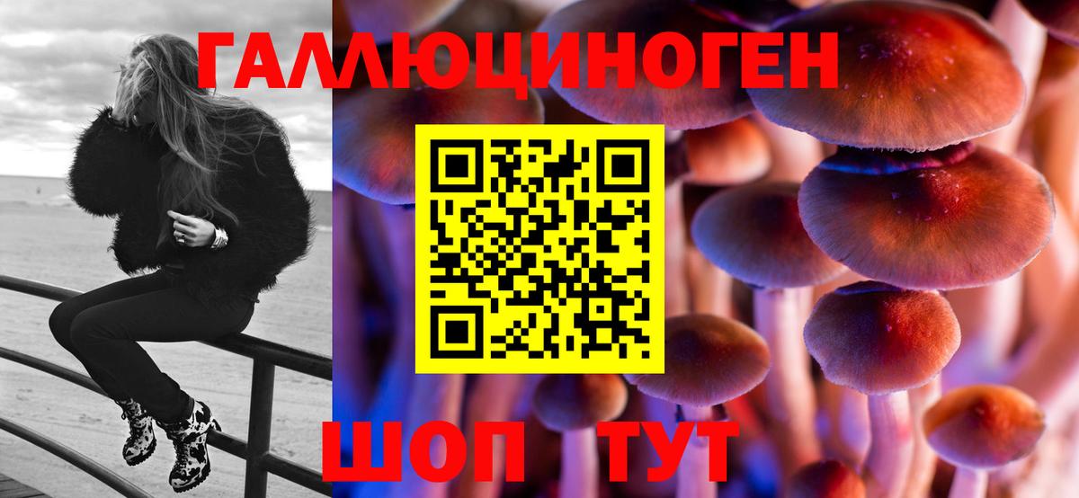 сколько стоит  Псилоцибиновые грибы мицелий  Вход с VPN  Великий Устюг 