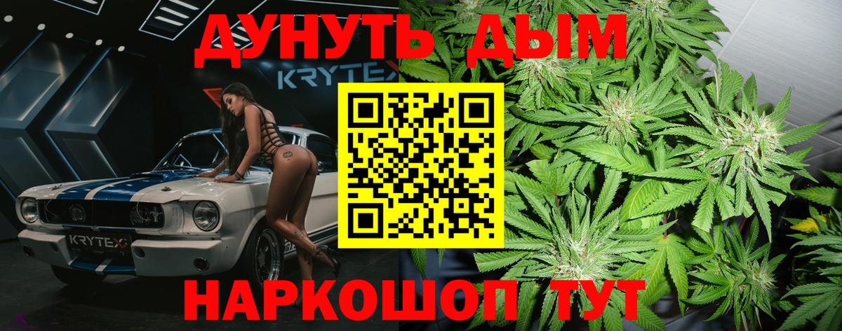 Конопля Великий Устюг